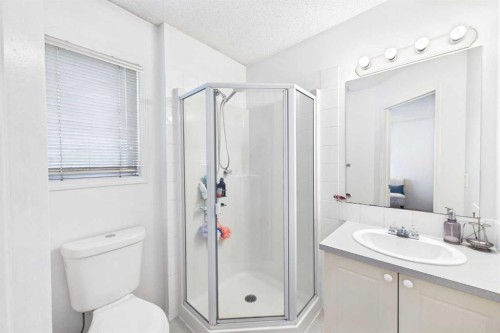 24 Chaparral Ridge Circle Se, Calgary, AB - Indoor Photo Showing Bathroom