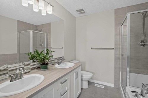 257 Cranford Park Se, Calgary, AB - Indoor Photo Showing Bathroom