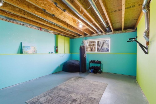 46 Valarosa Drive, Didsbury, AB - Indoor Photo Showing Basement