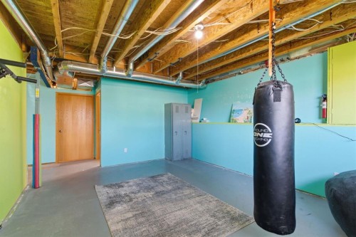 46 Valarosa Drive, Didsbury, AB - Indoor Photo Showing Basement