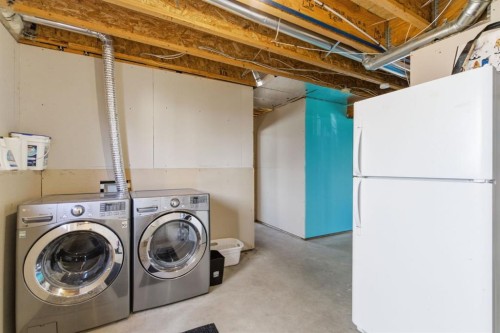 46 Valarosa Drive, Didsbury, AB - Indoor Photo Showing Laundry Room