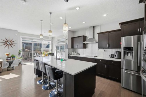 60 Redstone Grove Ne, Calgary, AB - Indoor Photo Showing Kitchen With Upgraded Kitchen