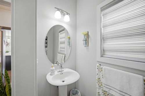 60 Redstone Grove Ne, Calgary, AB - Indoor Photo Showing Bathroom