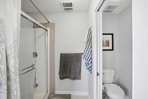 60 Redstone Grove Ne, Calgary, AB - Indoor Photo Showing Bathroom