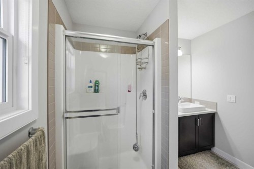 60 Redstone Grove Ne, Calgary, AB - Indoor Photo Showing Bathroom