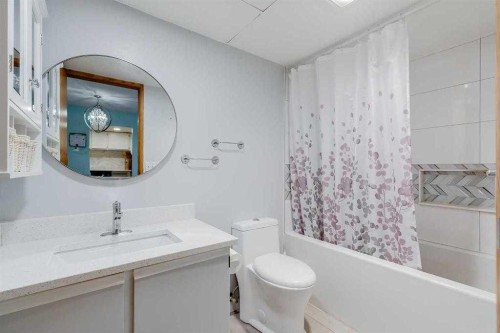 104-335 Garry Crescent Ne, Calgary, AB - Indoor Photo Showing Bathroom
