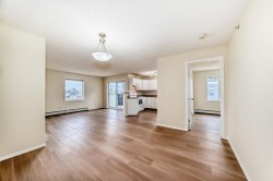 1302-2280 68 Street NE Calgary, AB T1Y 7M1