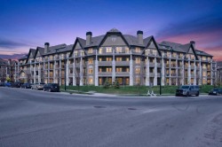 218-120 Mahogany Street SE Calgary, AB T3M 4E1