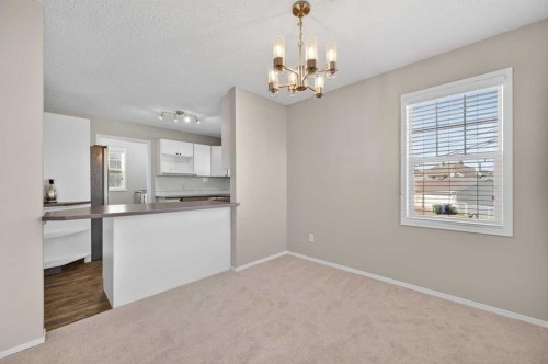 3106-7171 Coach Hill Road Sw, Calgary, AB - Indoor Photo Showing Kitchen