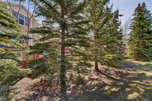 3106-7171 Coach Hill Road Sw, Calgary, AB - Outdoor