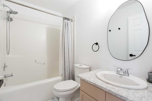 184 Inglewood Cove Se, Calgary, AB - Indoor Photo Showing Bathroom