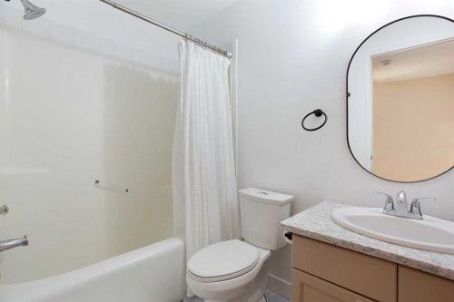 184 Inglewood Cove Se, Calgary, AB - Indoor Photo Showing Bathroom
