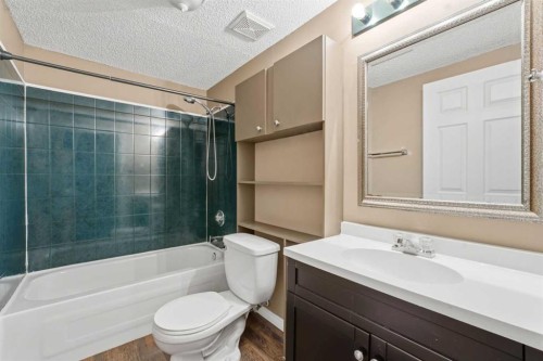 203 West Creek Close, Chestermere, AB - Indoor Photo Showing Bathroom