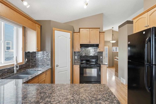 203 West Creek Close, Chestermere, AB - Indoor Photo Showing Kitchen With Double Sink With Upgraded Kitchen