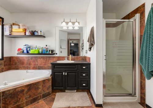 244 Stonegate Close Nw, Airdrie, AB - Indoor Photo Showing Bathroom