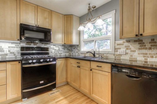 2519 Cherokee Drive Nw, Calgary, AB - Indoor Photo Showing Kitchen With Double Sink