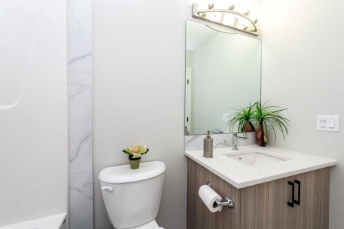 46 Savoy Landing Se, Calgary, AB - Indoor Photo Showing Bathroom