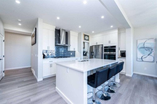 46 Savoy Landing Se, Calgary, AB - Indoor Photo Showing Kitchen With Double Sink With Upgraded Kitchen