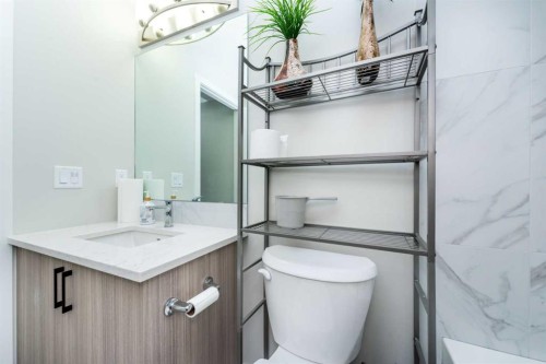 46 Savoy Landing Se, Calgary, AB - Indoor Photo Showing Bathroom