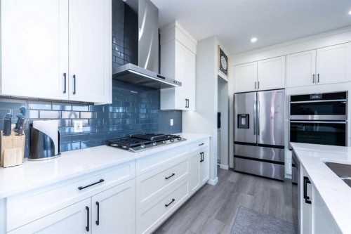 46 Savoy Landing Se, Calgary, AB - Indoor Photo Showing Kitchen With Upgraded Kitchen