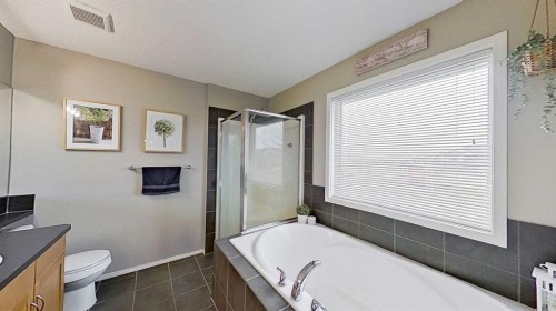 17 Sunset Heights, Cochrane, AB - Indoor Photo Showing Bathroom