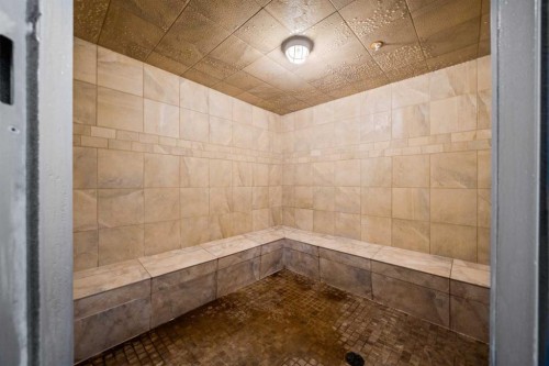 111-52 Cranfield Link Se, Calgary, AB - Indoor Photo Showing Bathroom