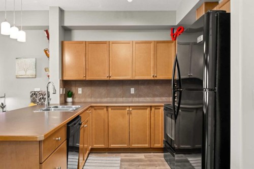 111-52 Cranfield Link Se, Calgary, AB - Indoor Photo Showing Kitchen With Double Sink