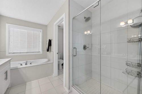 93 Legacy Green Se, Calgary, AB - Indoor Photo Showing Bathroom