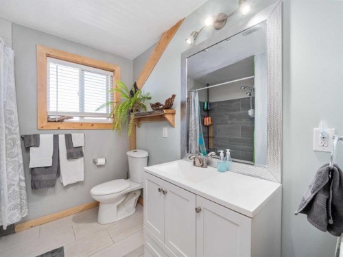 3-31035 Range Road 281, Rural Mountain View County, AB - Indoor Photo Showing Bathroom