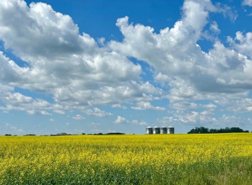 3-31035 Range Road 281, Rural Mountain View County, AB - Outdoor With View