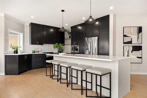 21 Douglas Woods Manor Se, Calgary, AB - Indoor Photo Showing Kitchen With Stainless Steel Kitchen With Upgraded Kitchen
