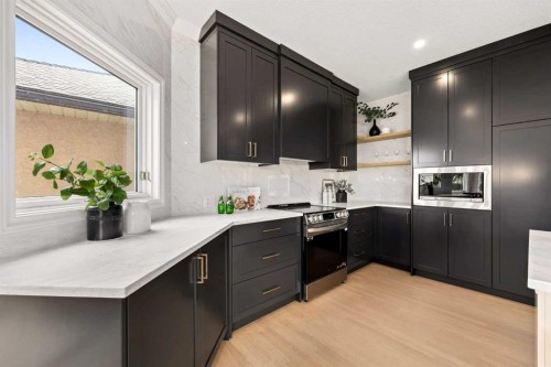 21 Douglas Woods Manor Se, Calgary, AB - Indoor Photo Showing Kitchen With Upgraded Kitchen