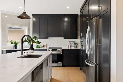 21 Douglas Woods Manor Se, Calgary, AB - Indoor Photo Showing Kitchen With Stainless Steel Kitchen With Upgraded Kitchen
