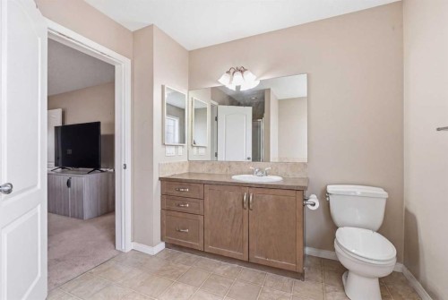 246 Martinwood Place Ne, Calgary, AB - Indoor Photo Showing Bathroom