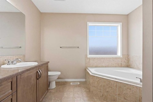 246 Martinwood Place Ne, Calgary, AB - Indoor Photo Showing Bathroom