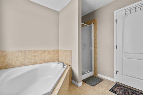 246 Martinwood Place Ne, Calgary, AB - Indoor Photo Showing Bathroom