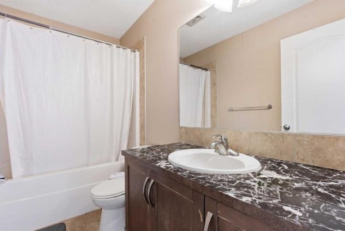 246 Martinwood Place Ne, Calgary, AB - Indoor Photo Showing Bathroom