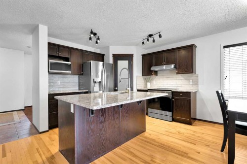 10 Autumn Green Se, Calgary, AB - Indoor Photo Showing Kitchen With Upgraded Kitchen