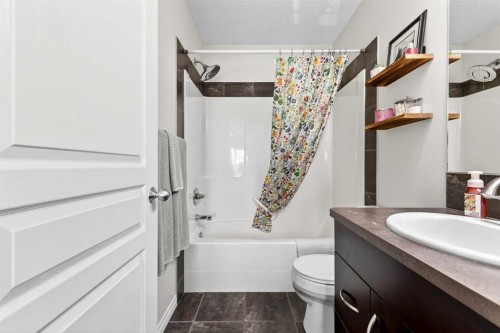 312 New Brighton Villas Se, Calgary, AB - Indoor Photo Showing Bathroom