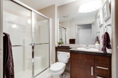205-210 15 Avenue Se, Calgary, AB - Indoor Photo Showing Bathroom
