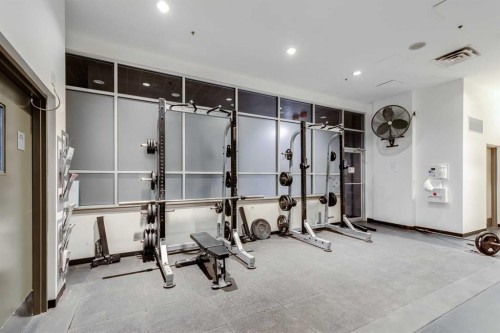 205-210 15 Avenue Se, Calgary, AB - Indoor Photo Showing Gym Room