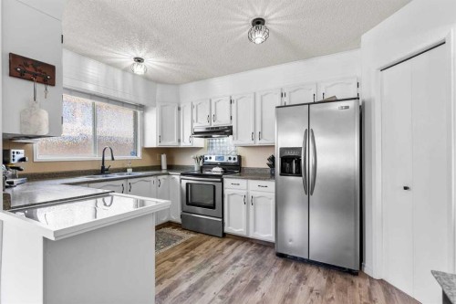 28 Beddington Crescent Ne, Calgary, AB - Indoor Photo Showing Kitchen With Stainless Steel Kitchen With Double Sink With Upgraded Kitchen