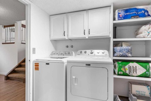 28 Beddington Crescent Ne, Calgary, AB - Indoor Photo Showing Laundry Room