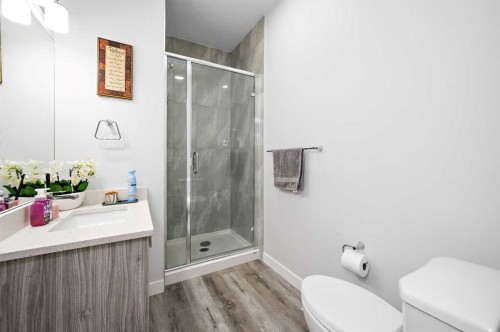 904-95 Skyview Close Ne, Calgary, AB - Indoor Photo Showing Bathroom