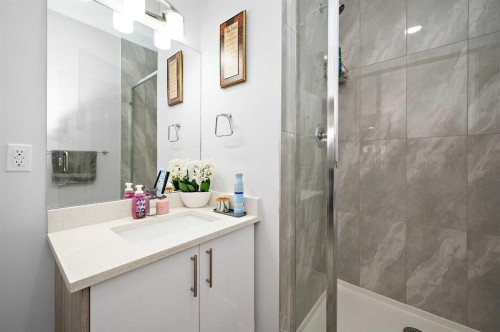 904-95 Skyview Close Ne, Calgary, AB - Indoor Photo Showing Bathroom