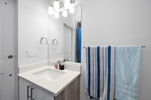 904-95 Skyview Close Ne, Calgary, AB - Indoor Photo Showing Bathroom