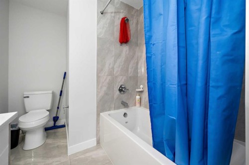 904-95 Skyview Close Ne, Calgary, AB - Indoor Photo Showing Bathroom
