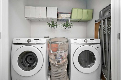 904-95 Skyview Close Ne, Calgary, AB - Indoor Photo Showing Laundry Room