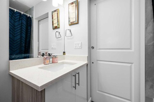 904-95 Skyview Close Ne, Calgary, AB - Indoor Photo Showing Bathroom