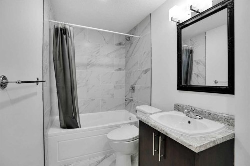 248 Sandpiper Boulevard, Chestermere, AB - Indoor Photo Showing Bathroom